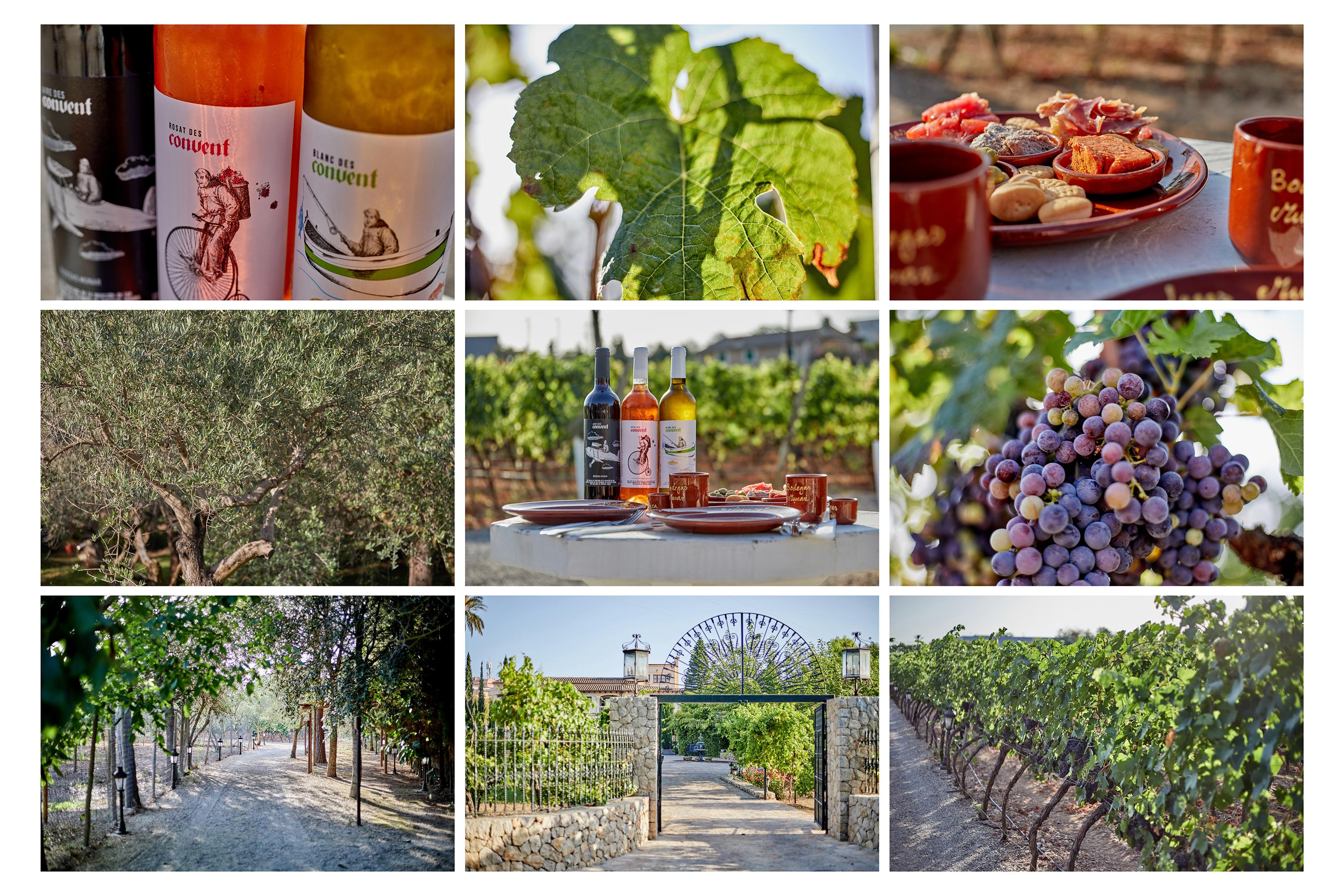 Agroturismo Sa Vinya Des Convent 印卡 外观 照片