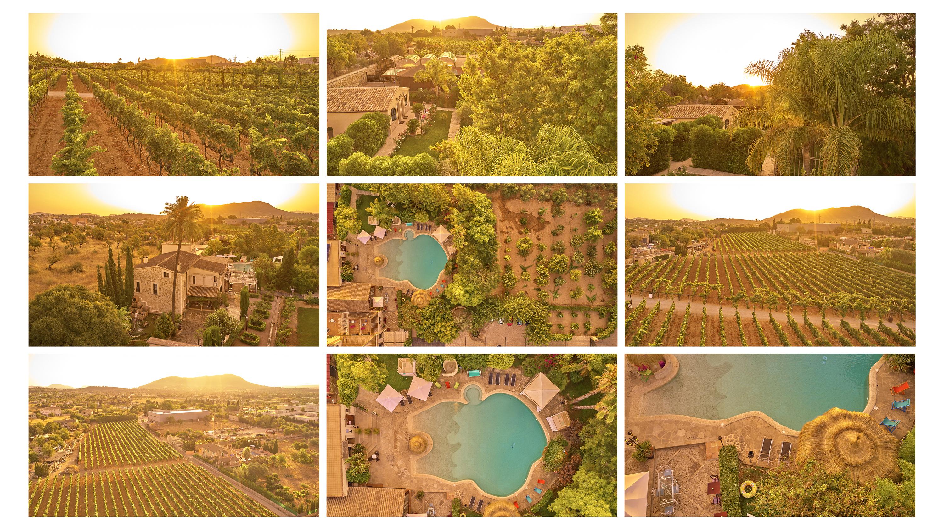 Agroturismo Sa Vinya Des Convent 印卡 外观 照片